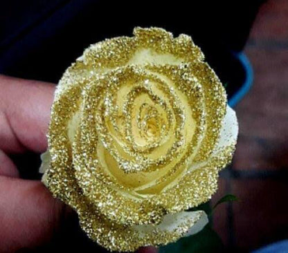 Valentine's Day Bridal Flower Bouquet